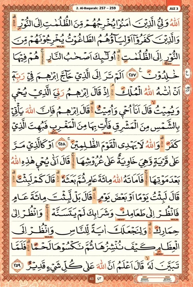 Al Quran Halaman 43