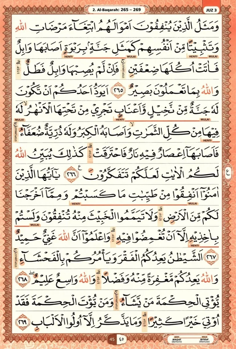 Al Quran Halaman 45