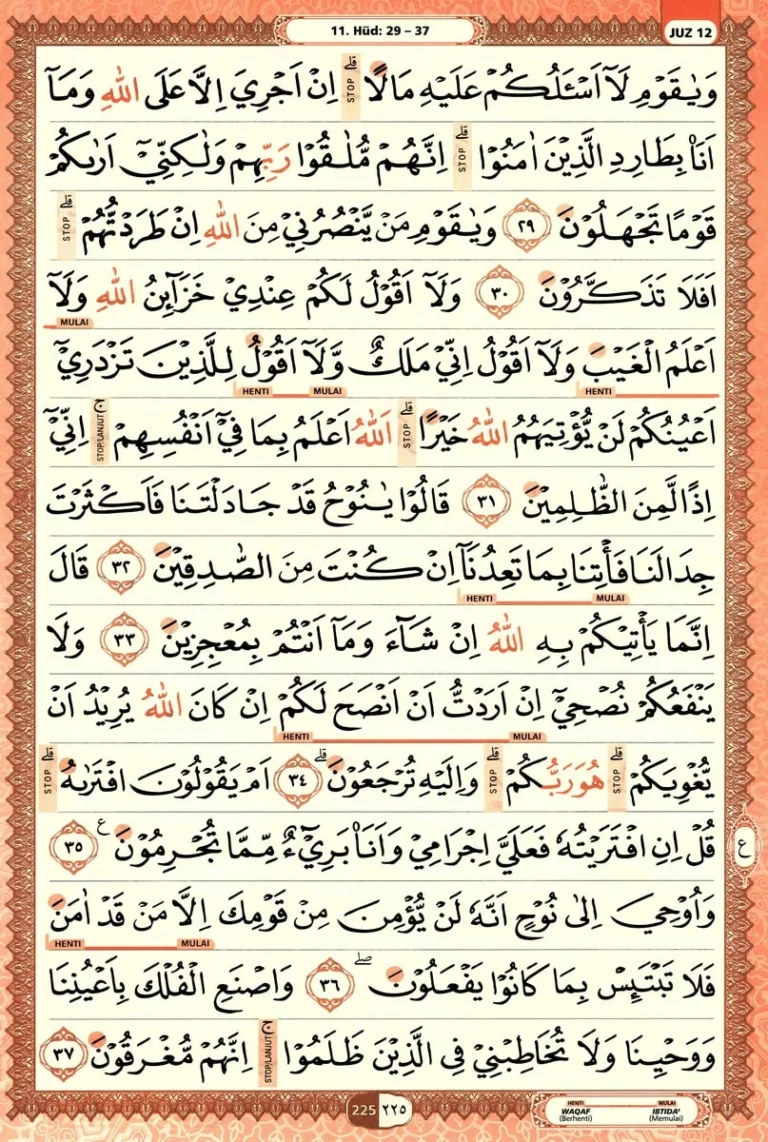 Al Quran Halaman 225