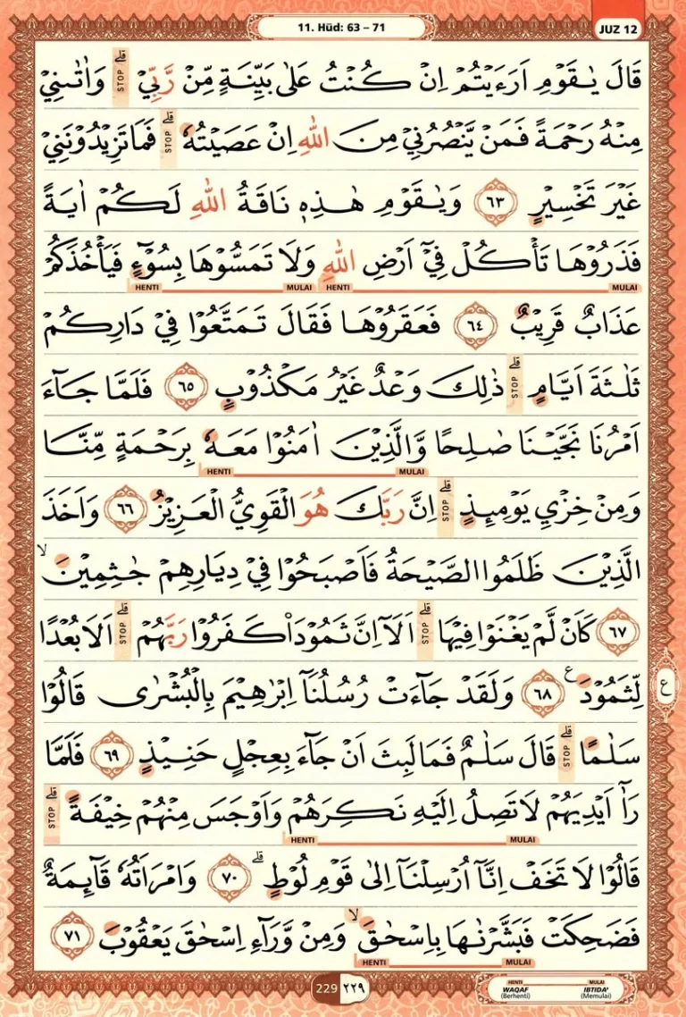 Al Quran Halaman 229