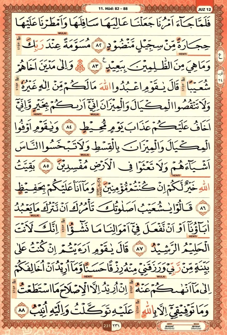 Al Quran Halaman 231