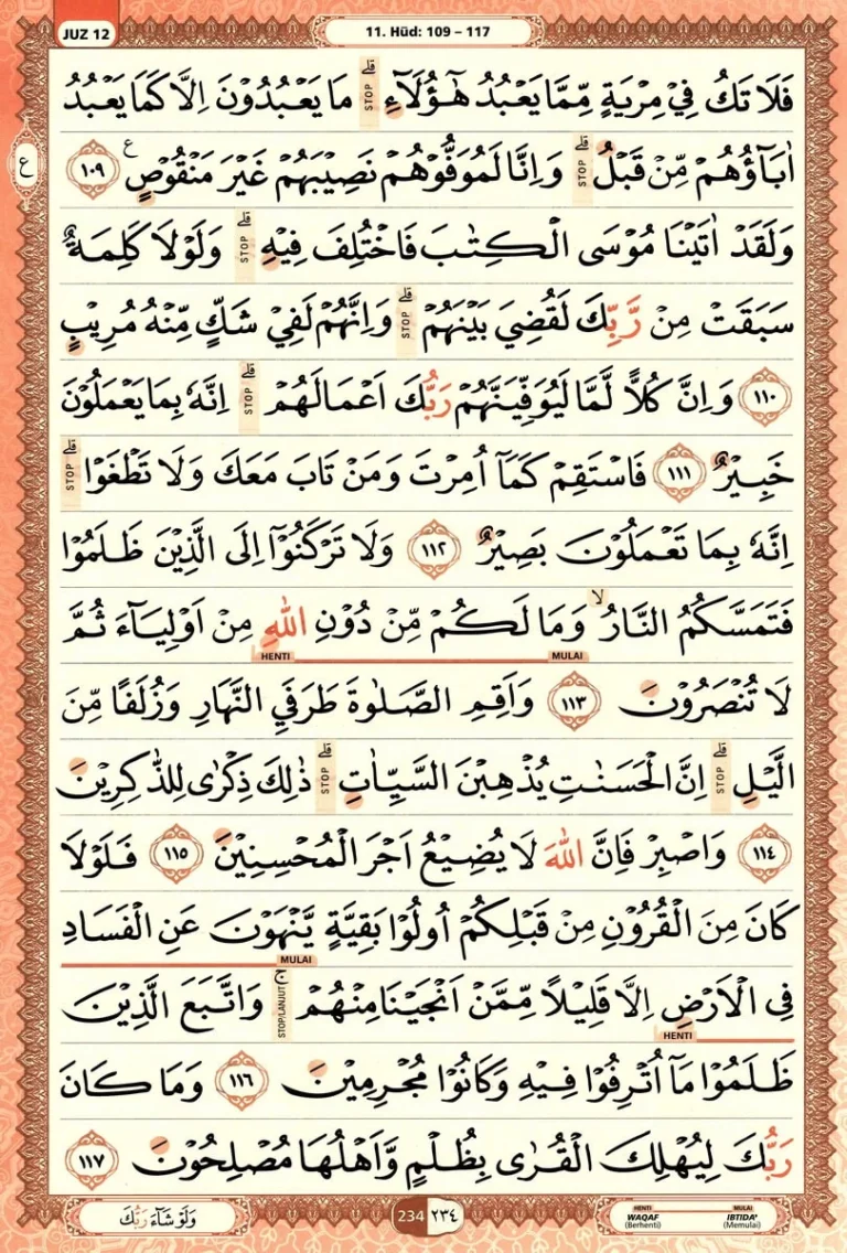 Al Quran Halaman 234