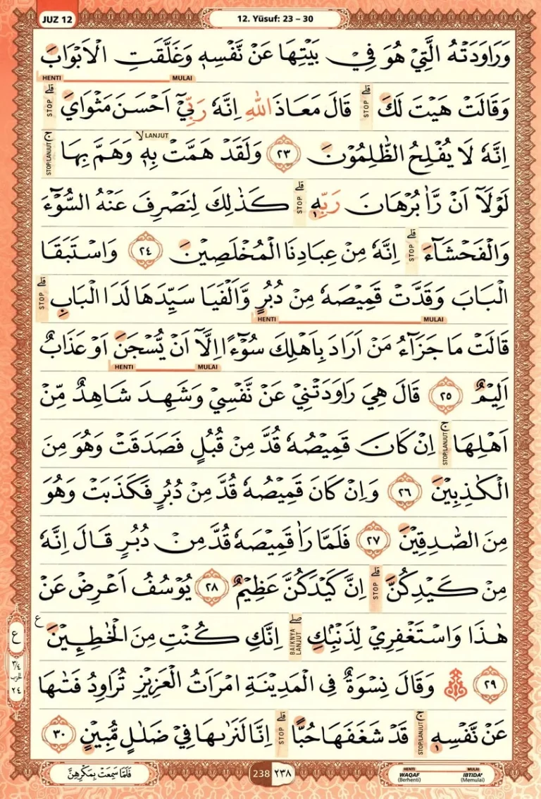 Al Quran Halaman 238