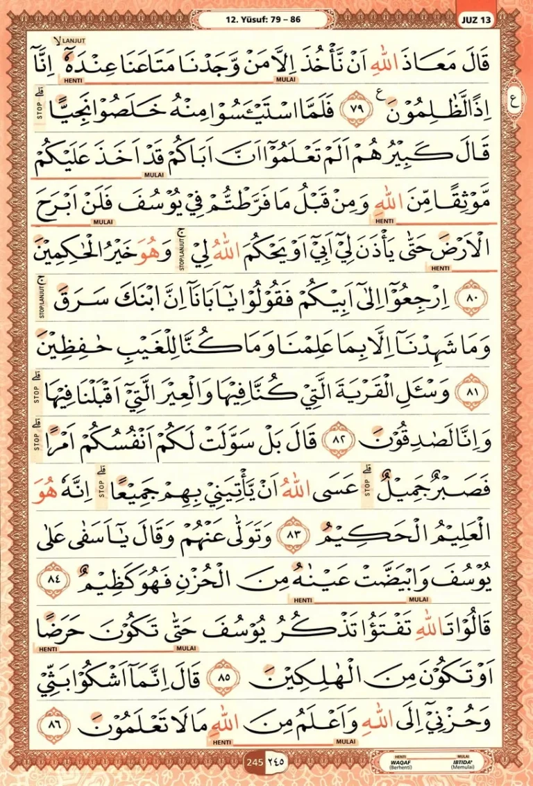 Al Quran Halaman 245