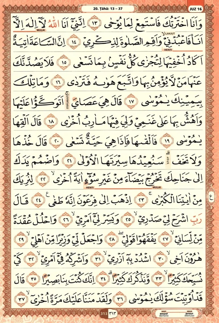 Al Quran Halaman 313