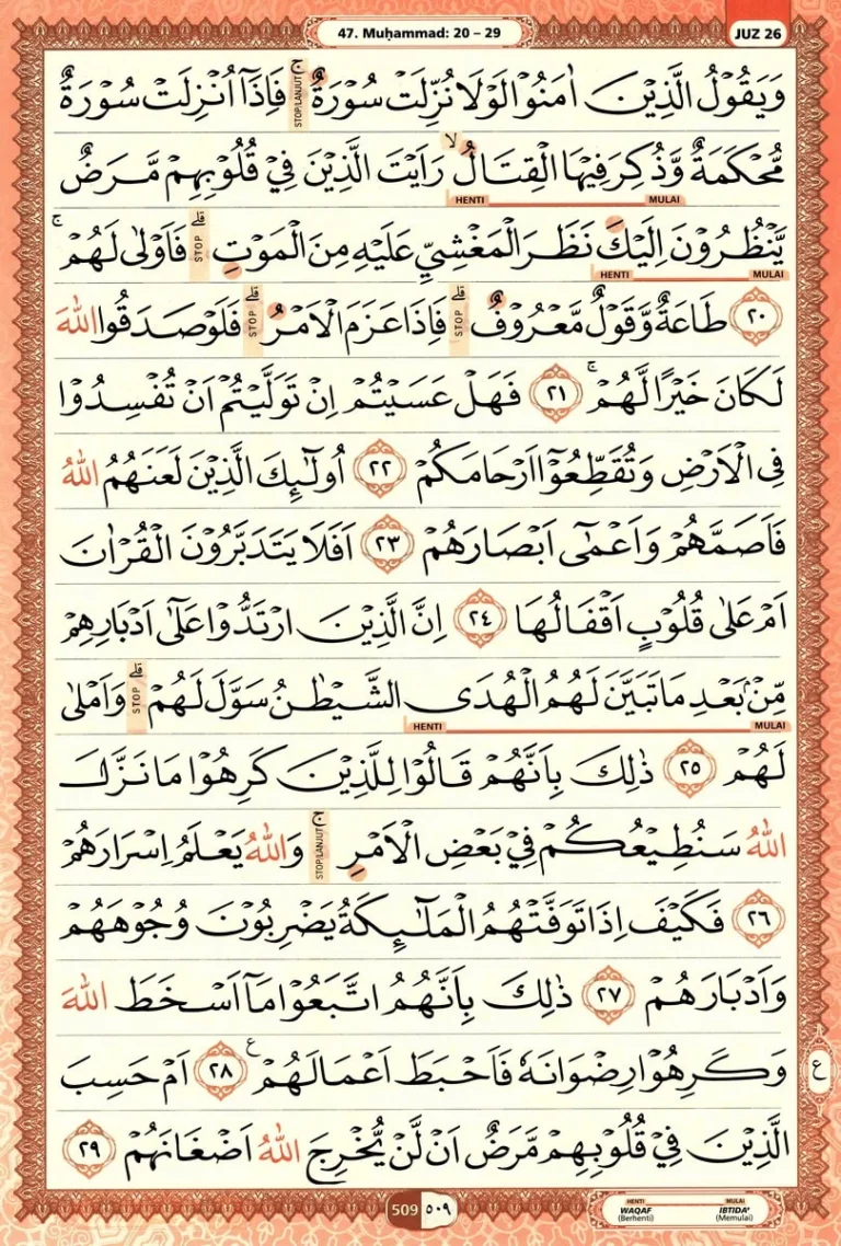 Al Quran Halaman 509