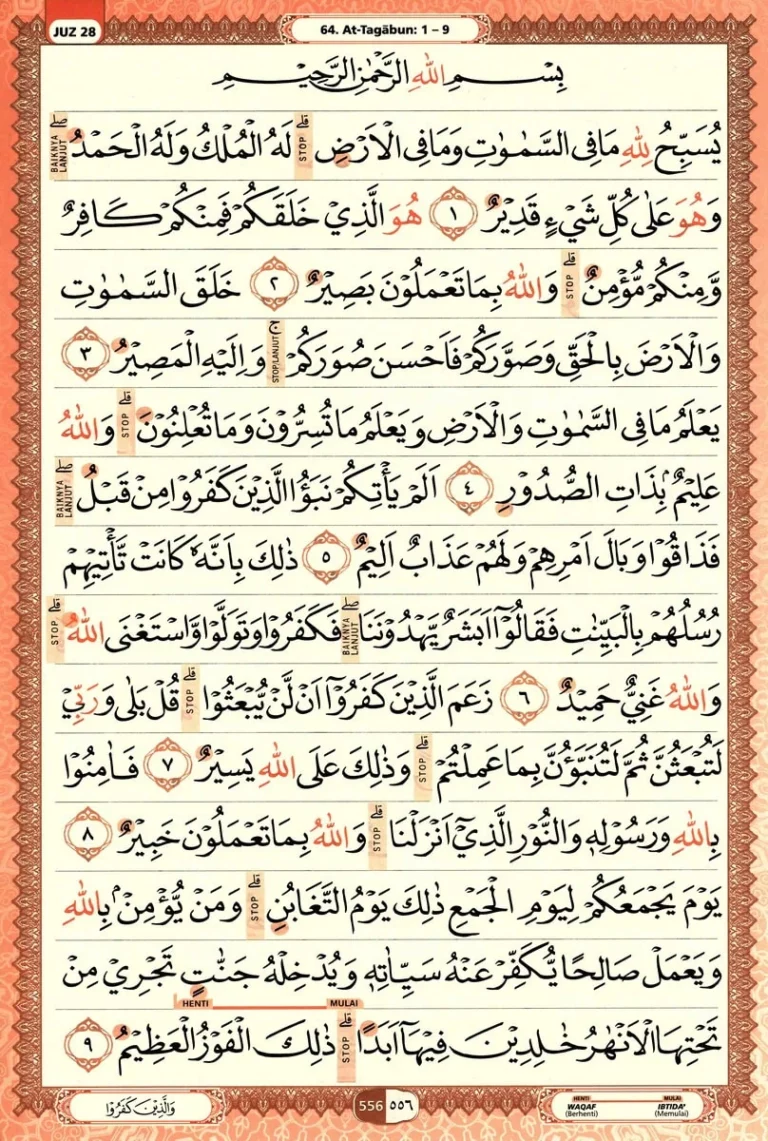 Al Quran Halaman 556