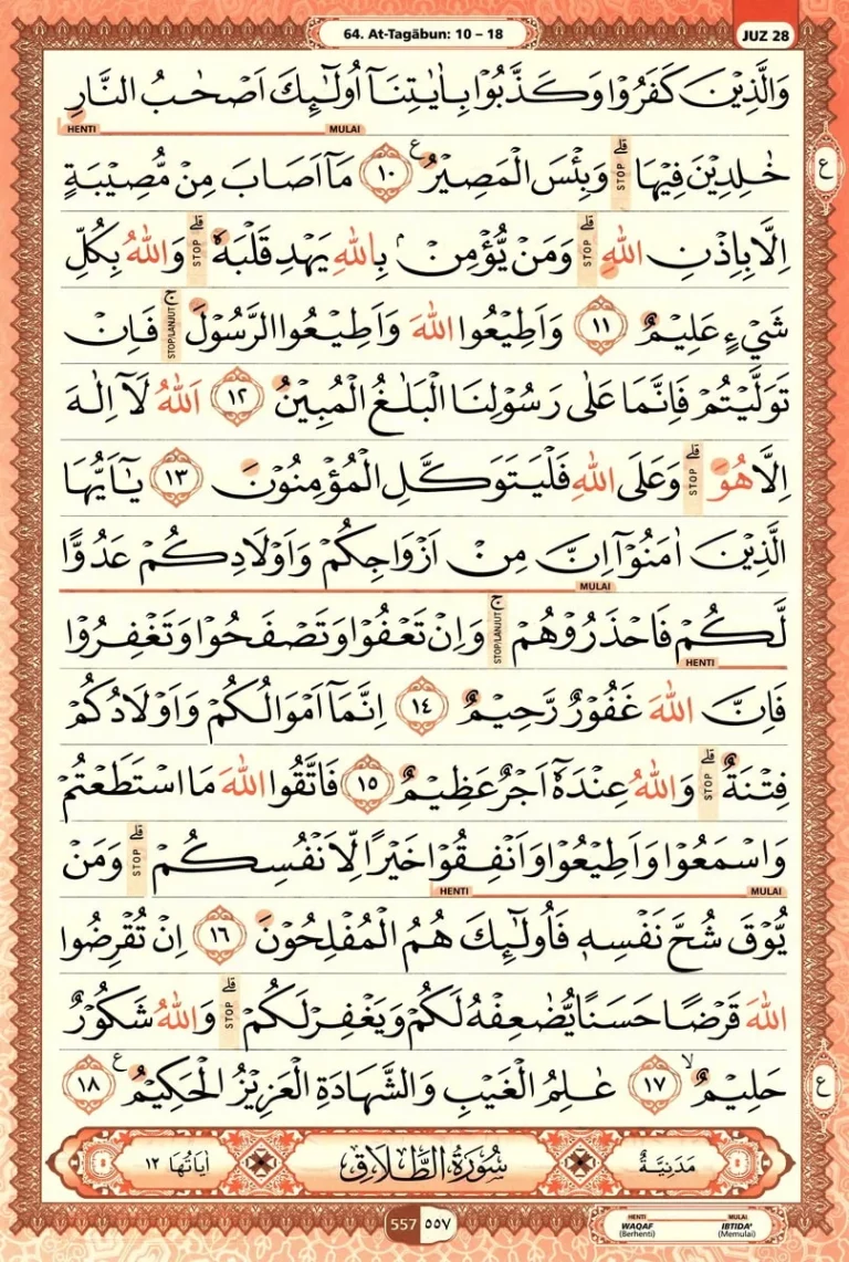 Al Quran Halaman 557